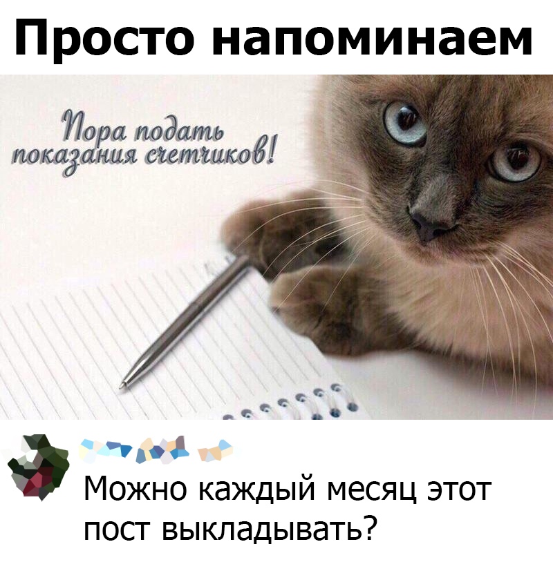 Прикольчики