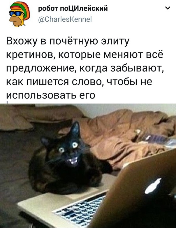 Прикольчики