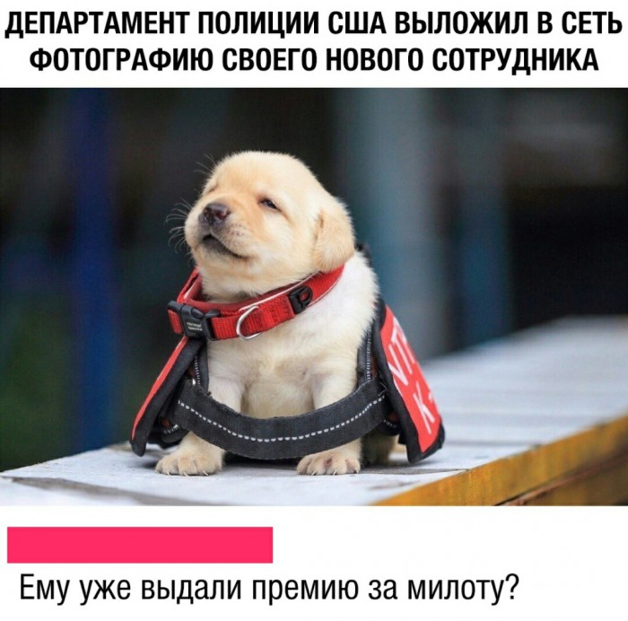 Прикольчики