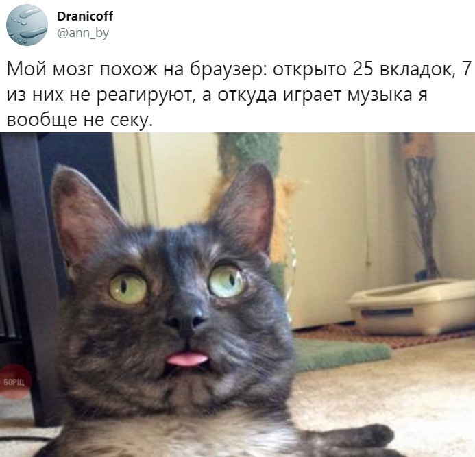 Прикольчики