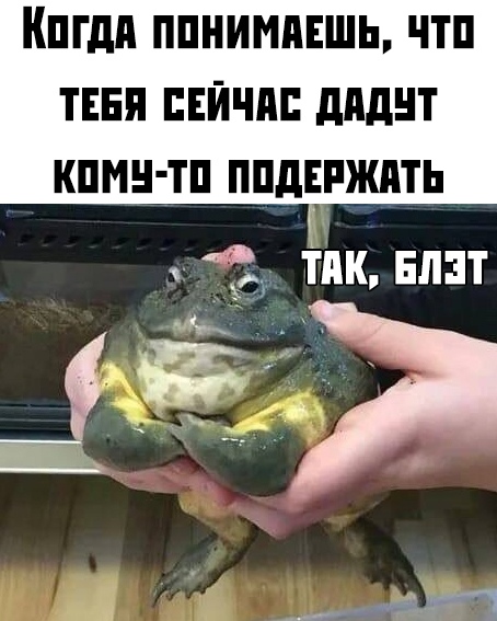 Прикольчики