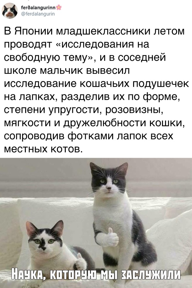 Прикольчики