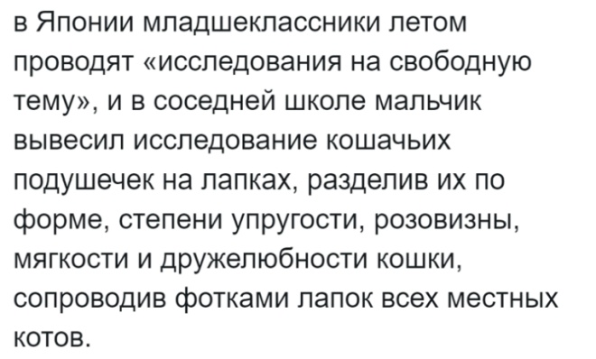 Россиянка живёт в Японии и рассказывает об интересных особенностях страны