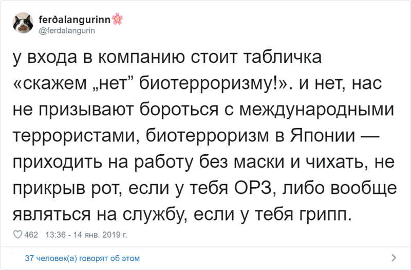 Россиянка живёт в Японии и рассказывает об интересных особенностях страны