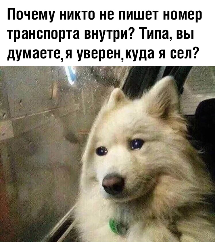 Прикольчики