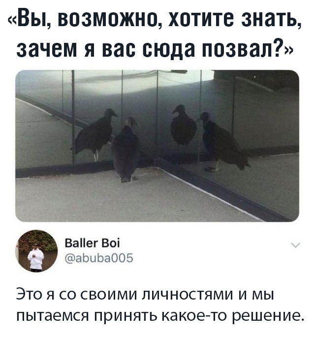 Прикольчики