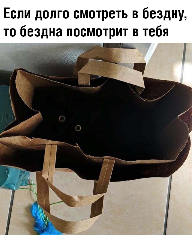 Прикольчики