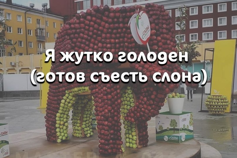 Жители Ставрополя разграбили слона из яблок. Его установили ко Дню города