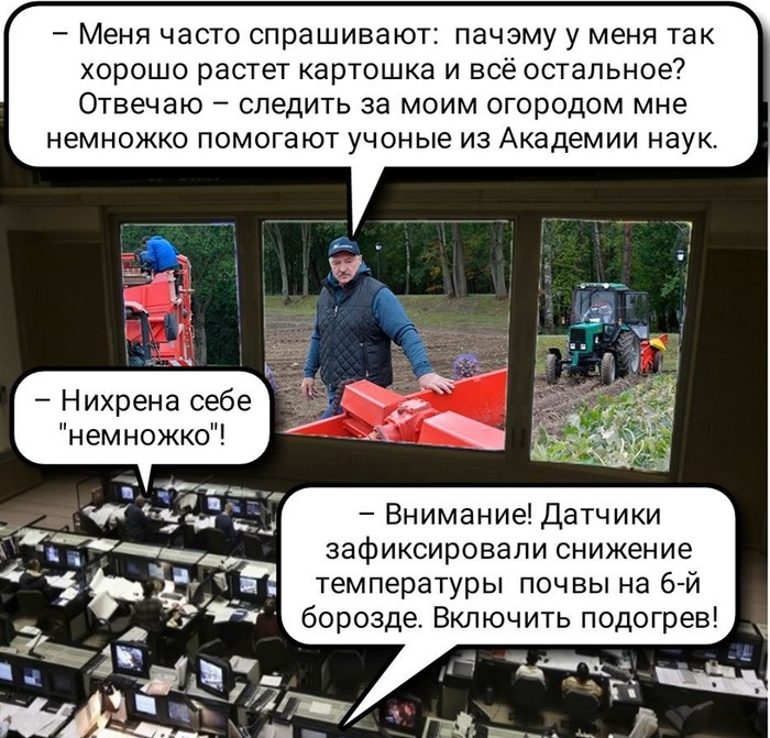 Прикольчики