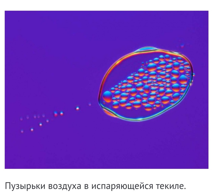 Окружающий мир под микроскопом Всячина