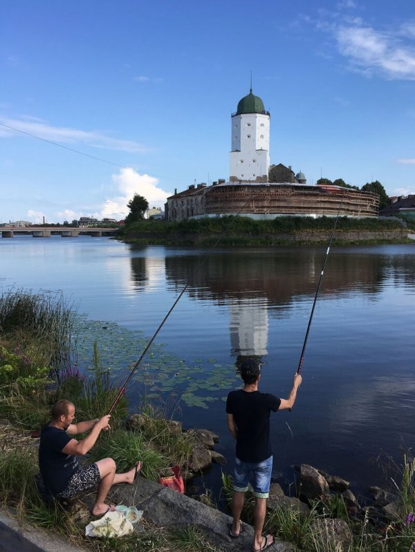 Дверь в лето