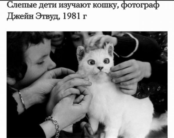 Интересные фотографии прошлого