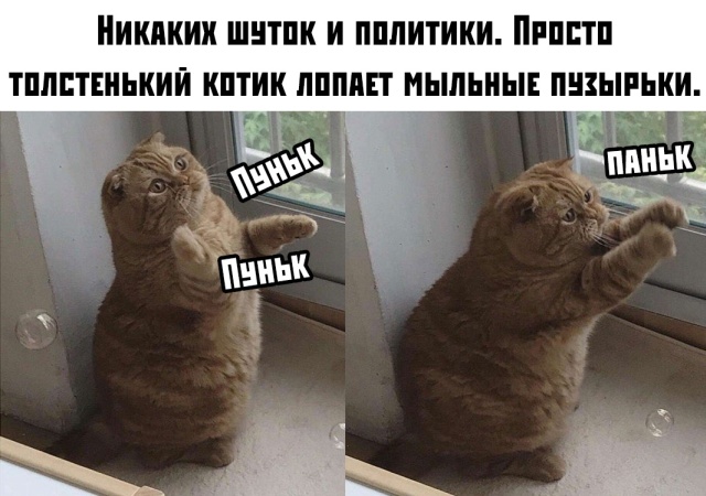 Прикольчики