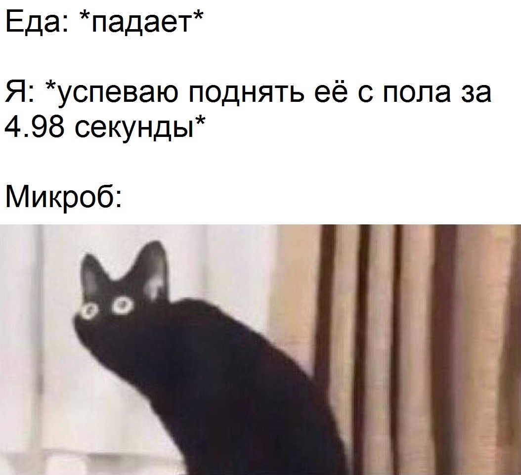 Прикольчики