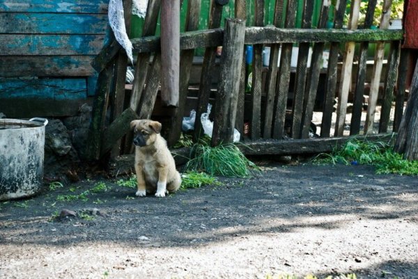 Фото деревенской жизни и сельской местности