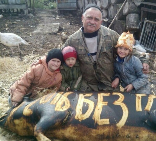 Фото деревенской жизни и сельской местности