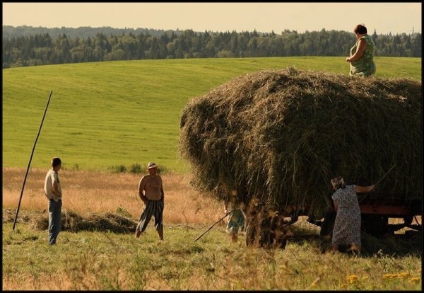 Фото деревенской жизни и сельской местности