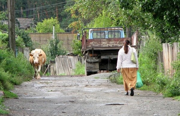 Фото деревенской жизни и сельской местности