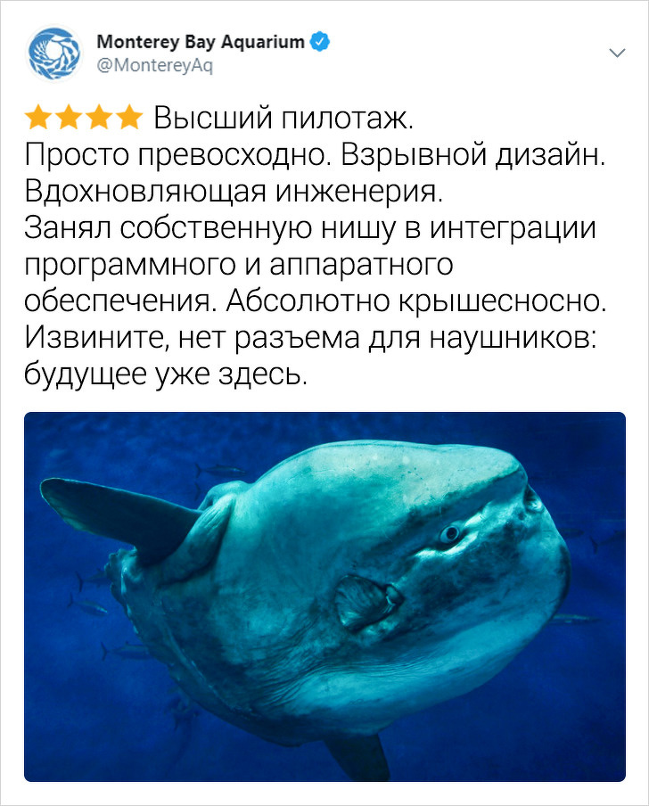 Сотрудники зоопарков описывают своих животных так, будто они купили гаджет в интернет-магазине