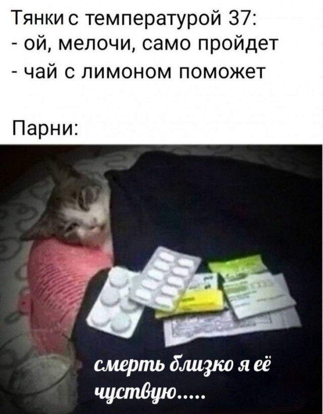 Прикольчики