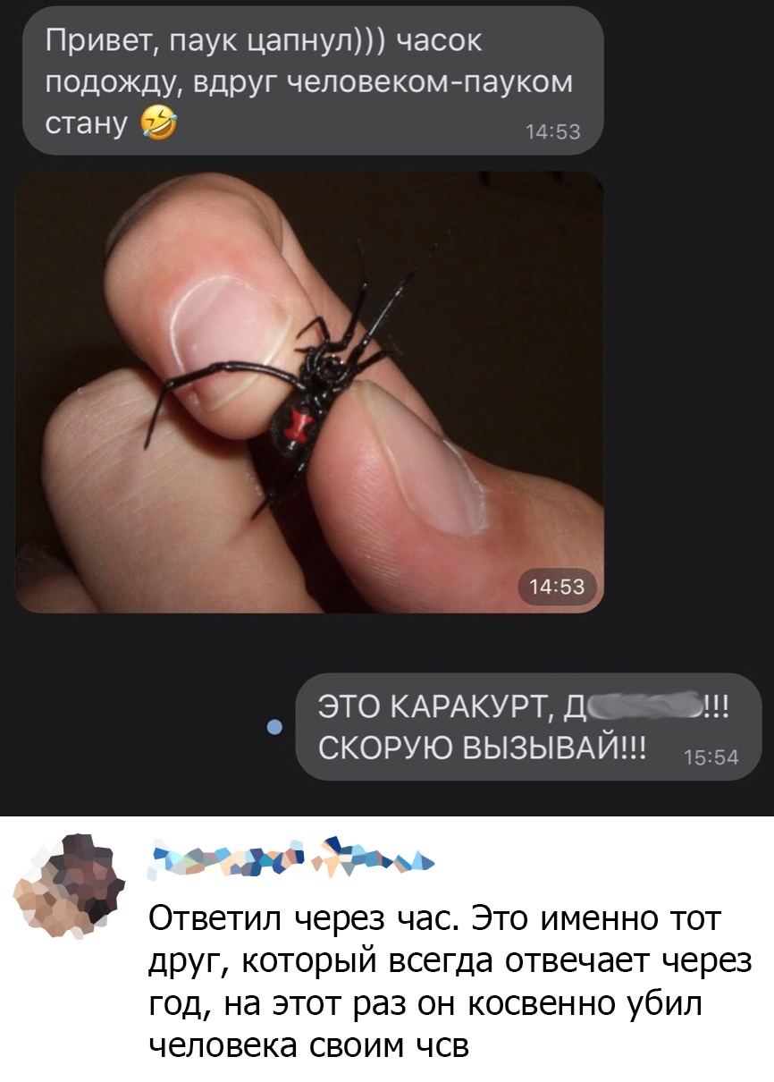 Веселые картинки