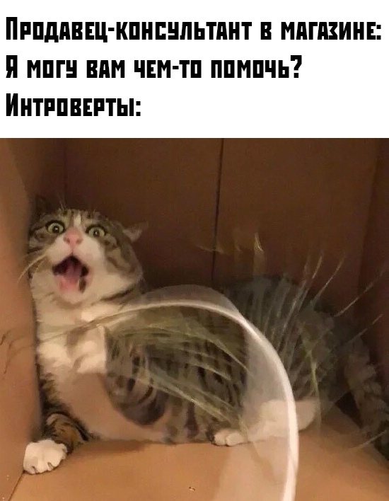 Прикольчики