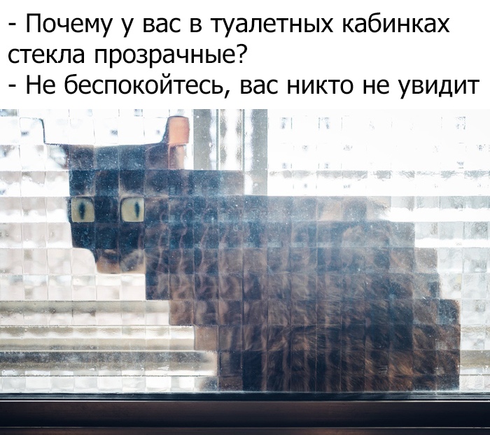 Прикольчики