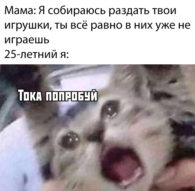 Прикольчики