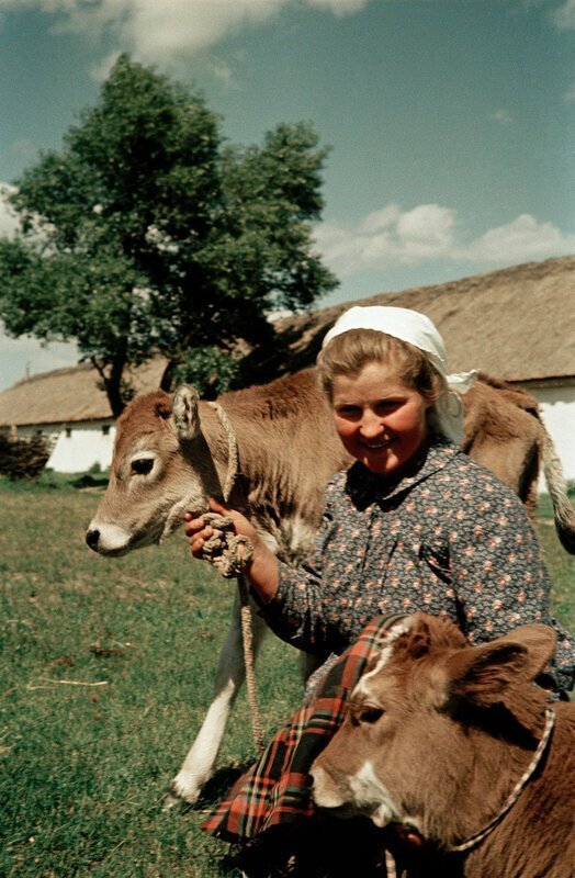 Советская деревня. Часть вторая