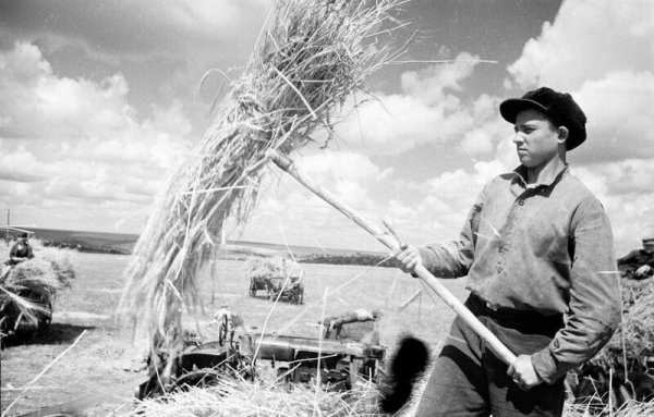 Советская деревня. Часть вторая