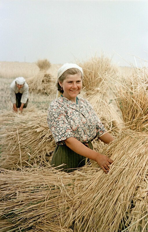 Советская деревня. Часть вторая