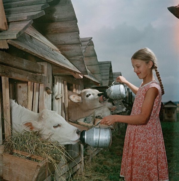 Советская деревня. Часть вторая