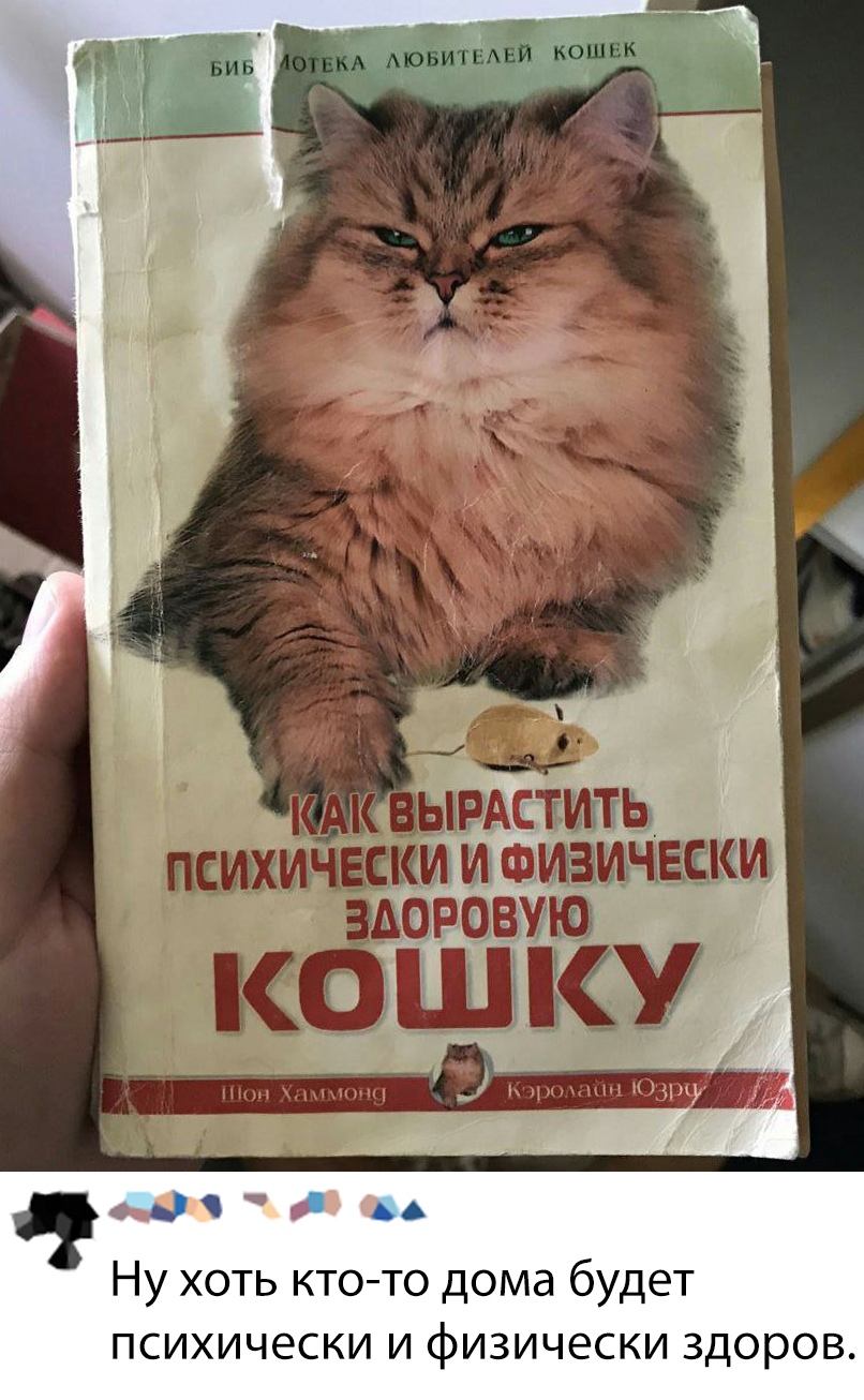 Прикольчики