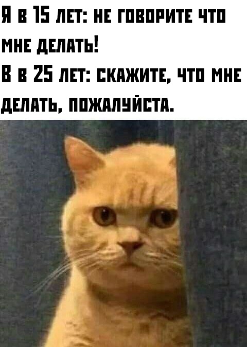 Прикольчики