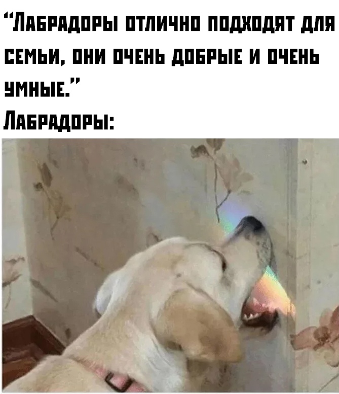 Прикольчики