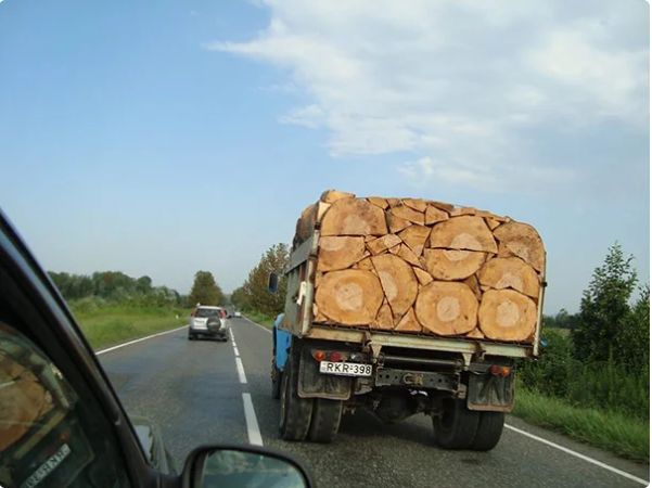 Рай для перфекциониста