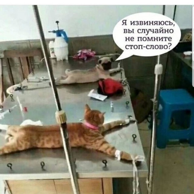 Вечерние приколы