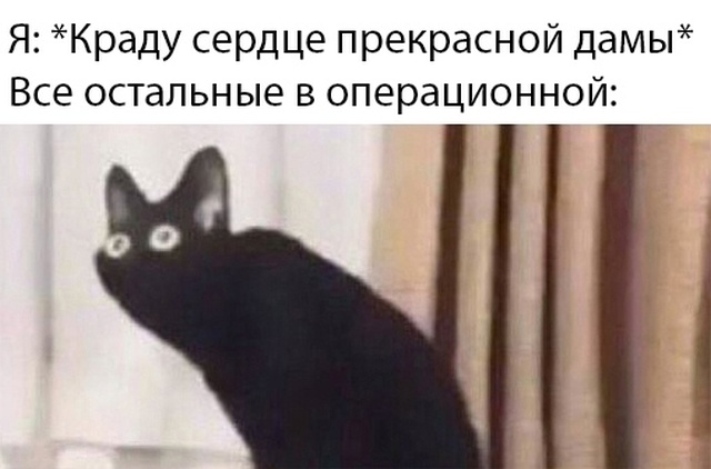 Прикольчики