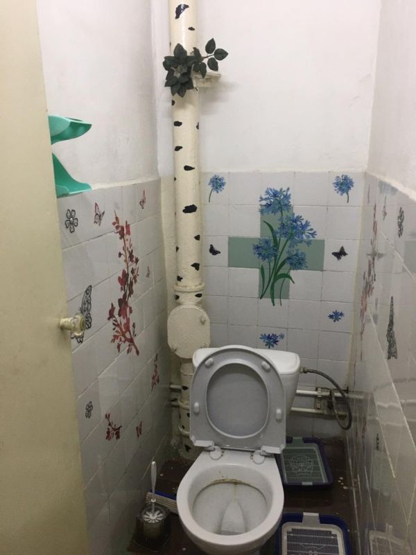Березка в туалете
