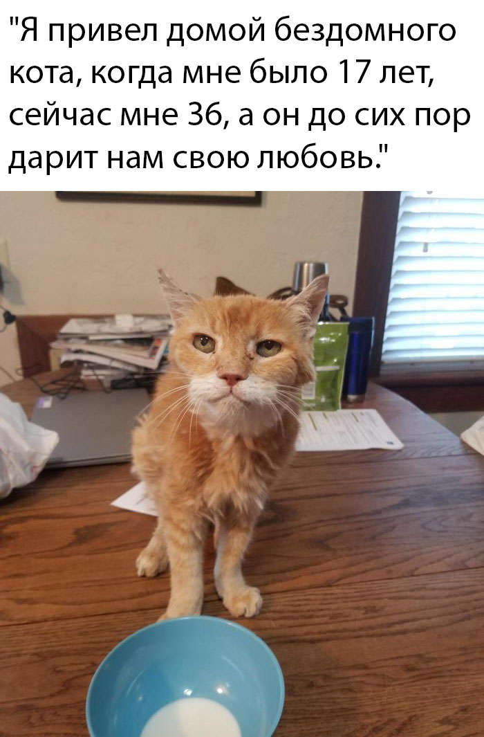 Прикольчики