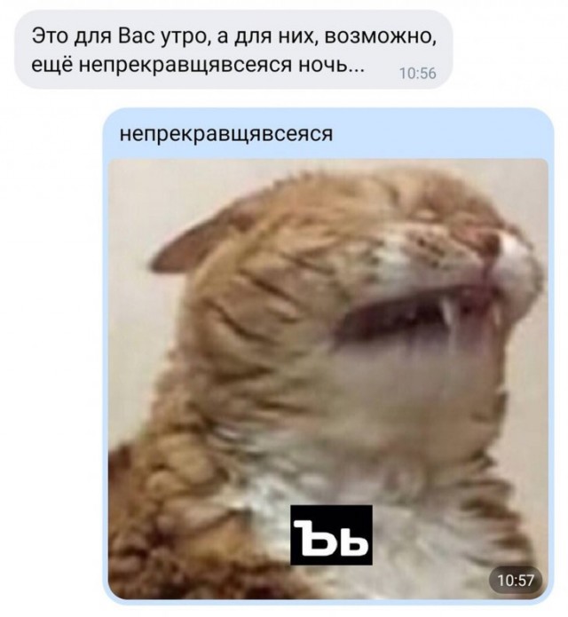 Прикольчики