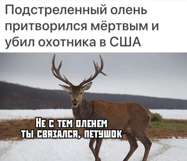 Прикольчики