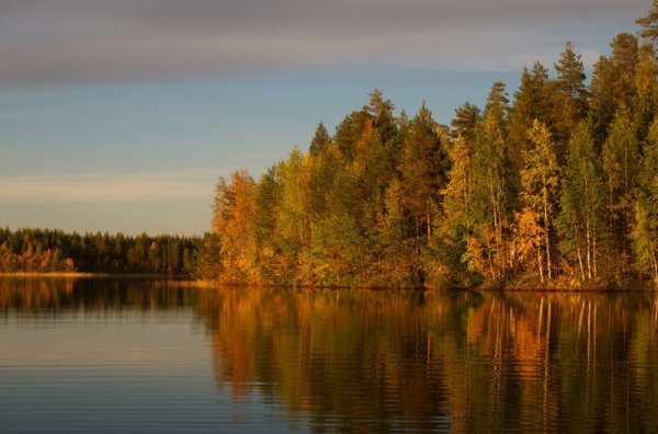 Невероятно изящные и спокойные природные пейзажи Карелии