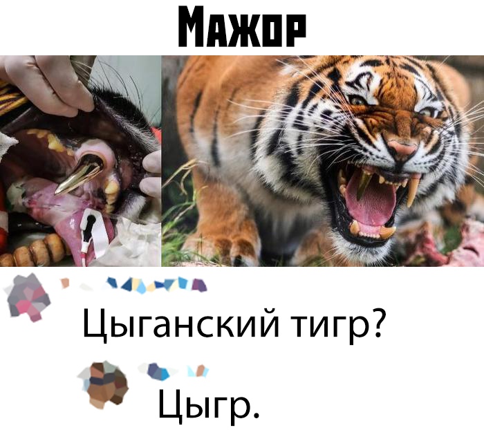 Прикольчики