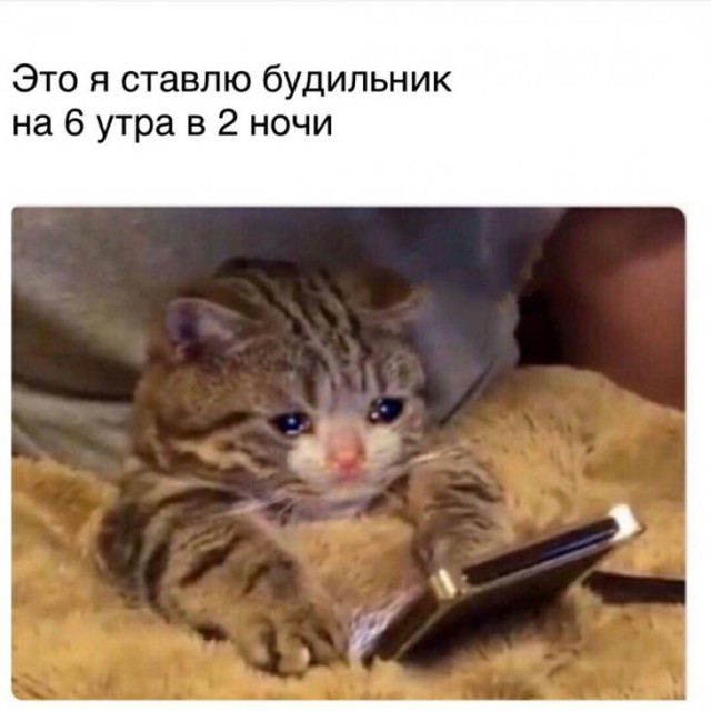 Прикольчики