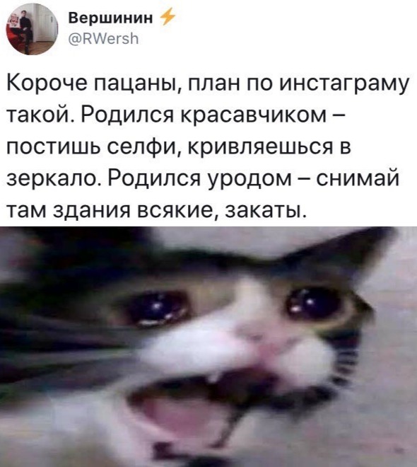 Прикольчики