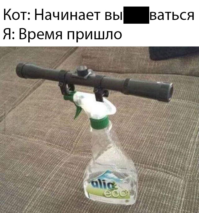 Прикольчики