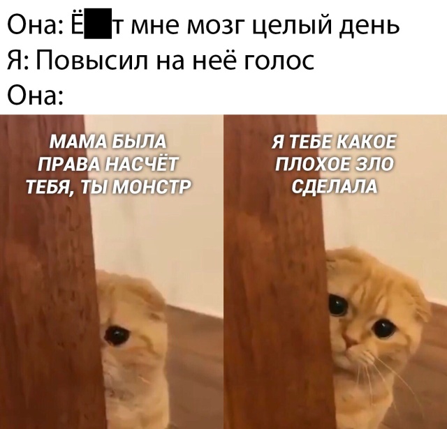 Прикольчики