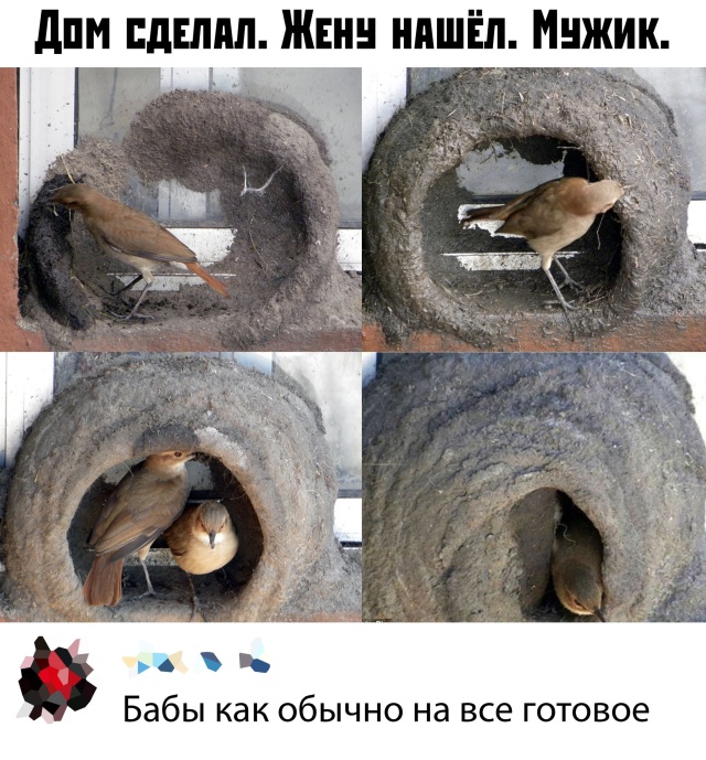 Прикольчики