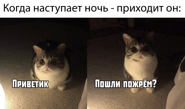 Прикольчики